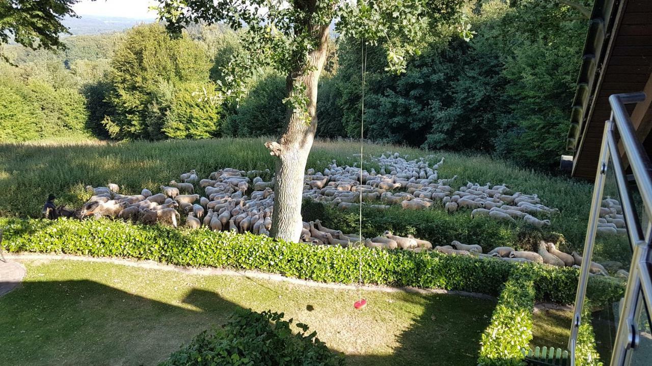 Ferienwohnung "Tecklenburger Augenblicke" Luaran gambar